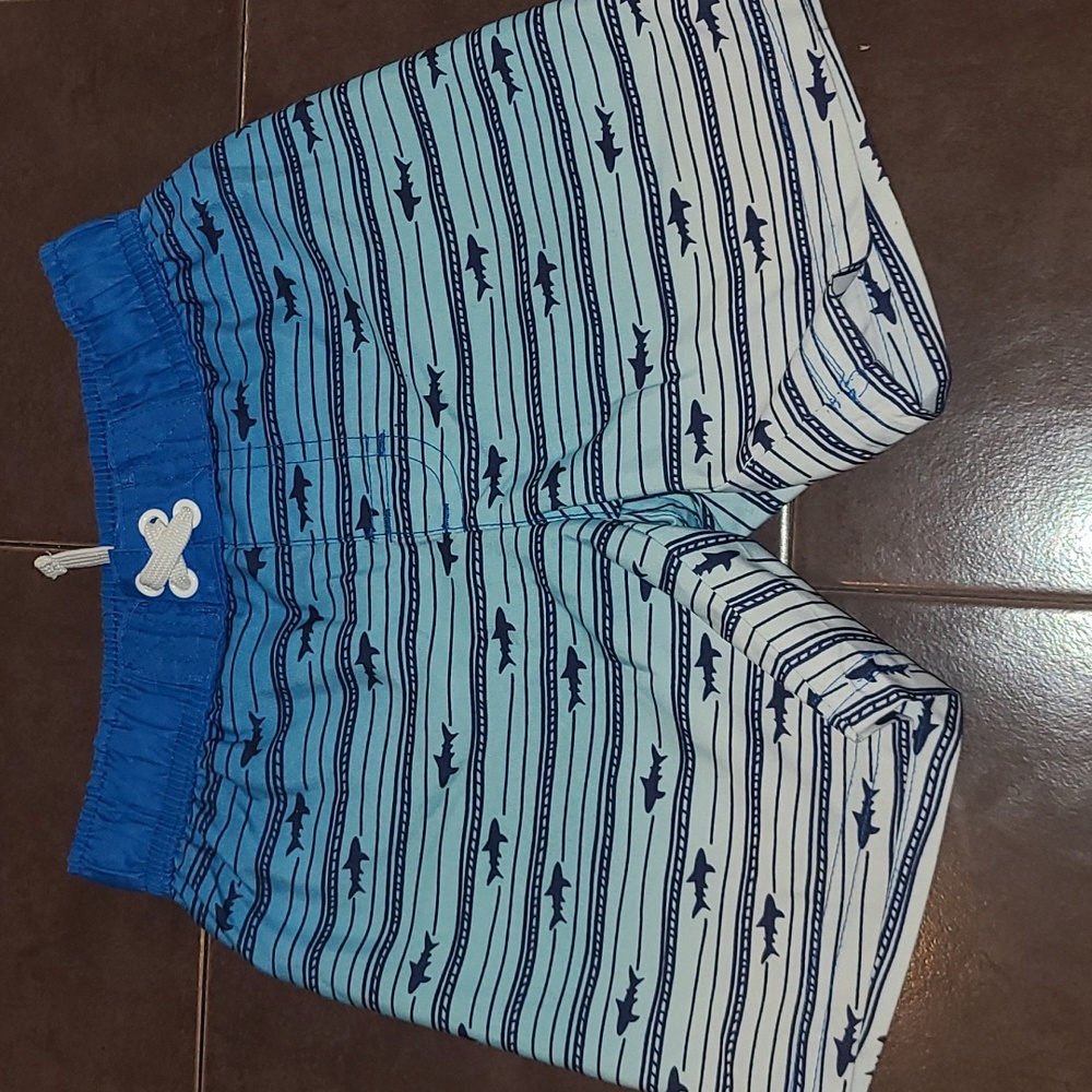 Swim Trunks - Picture 4 of 6